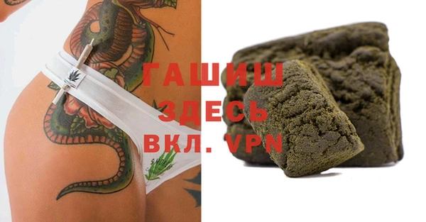 индика Ладушкин