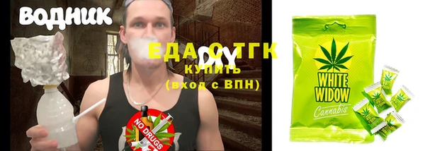 индика Ладушкин