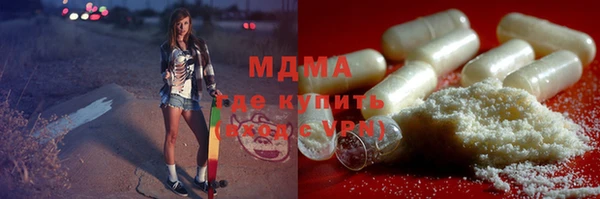 индика Ладушкин