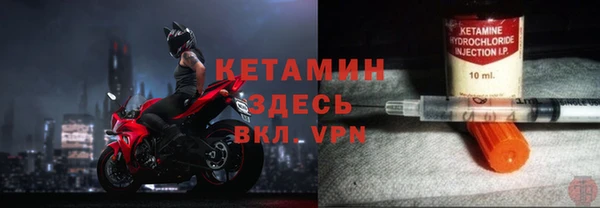 индика Ладушкин