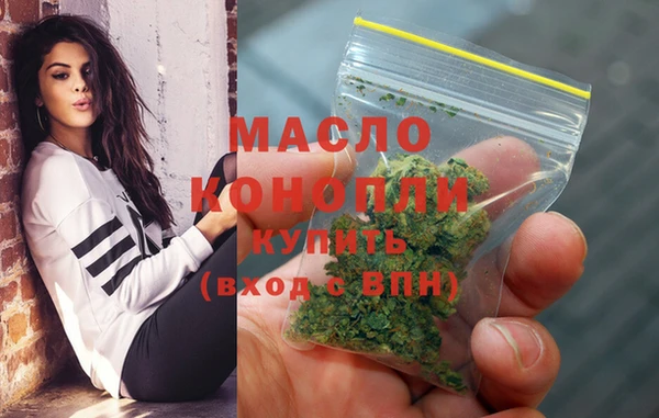 индика Ладушкин