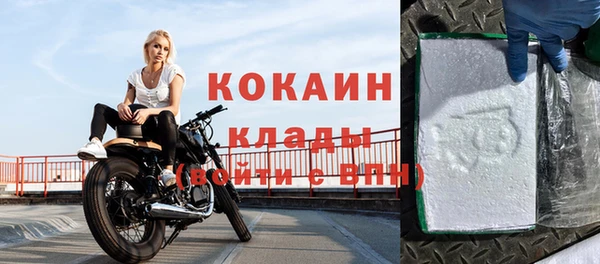 индика Ладушкин